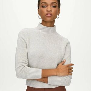 Wilfred Corteta Silver, Gray, Dark Beige Turtleneck Chenille Pullover Sweater
